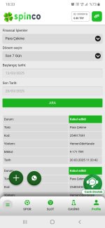 Screenshot_20250320-183328_Chrome.jpg
