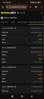 Screenshot_2025-03-23-18-41-51-760_com.android.chrome.jpg