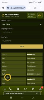 Screenshot_20250326-131448.jpg
