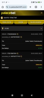 Screenshot_2025-03-29-00-17-47-980_com.android.chrome.jpg
