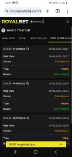 Screenshot_20250329-030107_Chrome.jpg