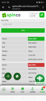 Screenshot_2025-03-29-04-29-27-19.png