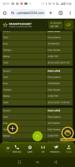 Screenshot_20250329-121139.png