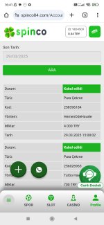 Screenshot_2025-03-29-16-41-45-348_com.android.chrome.jpg