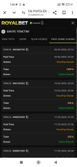 Screenshot_2025-03-30-01-06-33-014_com.android.chrome.jpg