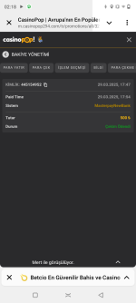 Screenshot_20250330-021809.png