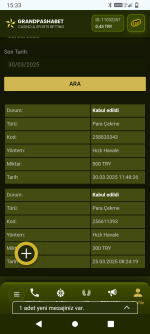 Screenshot_20250330-153304.png