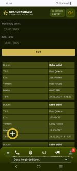 Screenshot_20250331_101632.jpg
