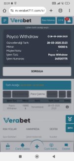 Screenshot_2025-03-29-22-31-56-209_com.android.chrome.jpg