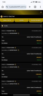 Screenshot_2025-04-01-01-00-32-673_com.android.chrome.jpg