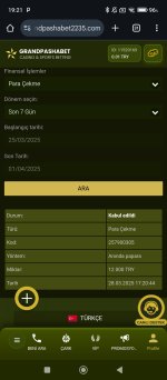 Screenshot_2025-04-01-19-21-21-455_com.android.chrome.jpg