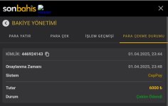 Screenshot_2025-04-01-23-51-43-915_com.android.chrome~2.jpg