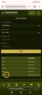 Screenshot_2025-04-03-18-58-38-282_com.android.chrome.jpg
