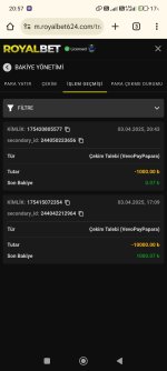Screenshot_2025-04-03-20-57-52-828_com.android.chrome.jpg