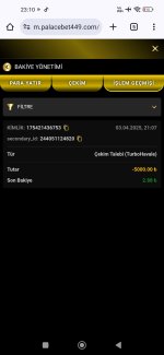 Screenshot_2025-04-03-23-10-03-190_com.android.chrome.jpg