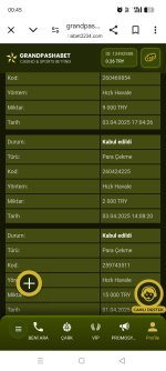 Screenshot_2025-04-04-00-45-48-87_40deb401b9ffe8e1df2f1cc5ba480b12.jpg