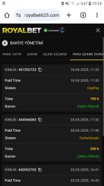 Screenshot_20250410-192425_Chrome.jpg