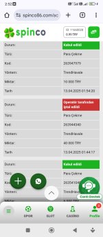 Screenshot_2025-04-13-02-52-32-537_com.android.chrome.jpg