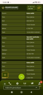 Screenshot_2025-04-14-13-03-58-225_com.android.chrome.jpg