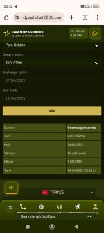 Screenshot_2025-04-14-20-52-20-943_com.android.chrome.jpg