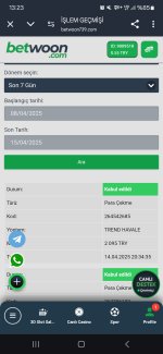 Screenshot_20250415_132338_Chrome.jpg