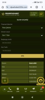 Screenshot_2025-04-16-20-50-42-548_com.android.chrome.jpg