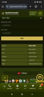 Screenshot_2025-04-17-03-59-20-849_com.android.chrome.jpg
