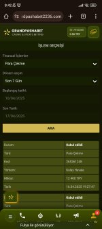 Screenshot_2025-04-17-08-43-00-033_com.android.chrome.jpg