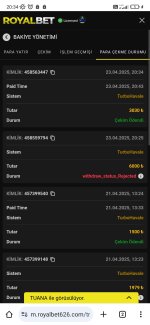 Screenshot_2025-04-25-20-34-33-592_com.android.chrome.jpg