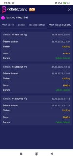 Screenshot_2025-04-27-20-00-09-715_com.android.chrome.jpg