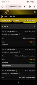 Screenshot_20250430-210711.png