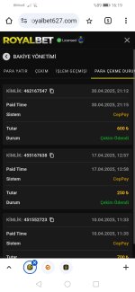 Screenshot_20250501_161908_com.android.chrome.jpg