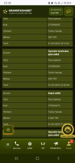 Screenshot_20250501_233049_Chrome.jpg