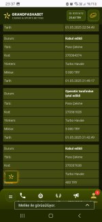 Screenshot_20250501_233706_Chrome.jpg