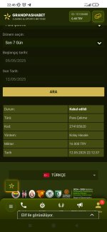 Screenshot_2025-05-12-22-46-48-619_com.android.chrome.jpg