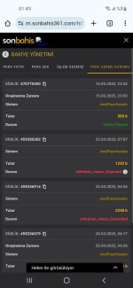 Screenshot_20250516-014942_Chrome.jpg