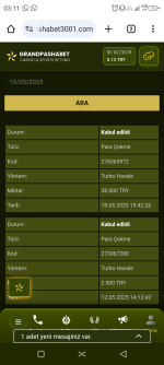 Screenshot_20250519-031107.png