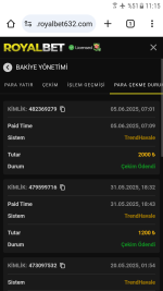 Screenshot_20250605-111517.png