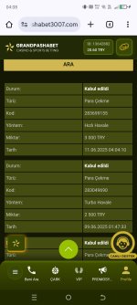 Screenshot_20250611-040821.jpg