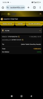 Screenshot_2025-06-11-14-16-33-796_com.android.chrome.jpg