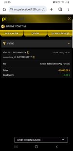 Screenshot_20250617-204554_Chrome.jpg
