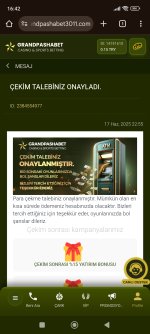 Screenshot_2025-06-18-16-42-16-731_com.android.chrome.jpg