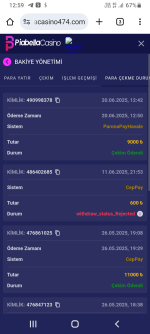 Screenshot_20250620-125936.png