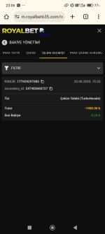Screenshot_2025-06-22-23-06-35-404_com.android.chrome.jpg