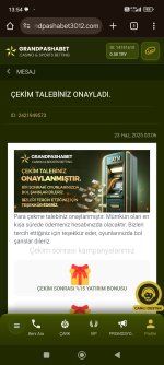 Screenshot_2025-06-23-13-54-51-613_com.android.chrome.jpg