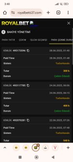 Screenshot_2025-06-28-03-40-56-359_com.android.chrome.jpg