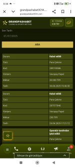 Screenshot_2025-07-01-00-34-04-853_com.android.chrome.jpg