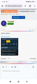 Screenshot_2025-07-01-11-29-58-247_com.android.chrome.jpg