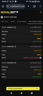 Screenshot_20250701-203512.png