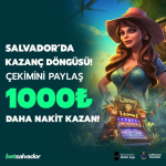 1751417145853.png